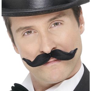 MOUSTACHES TRANSFORMABLES